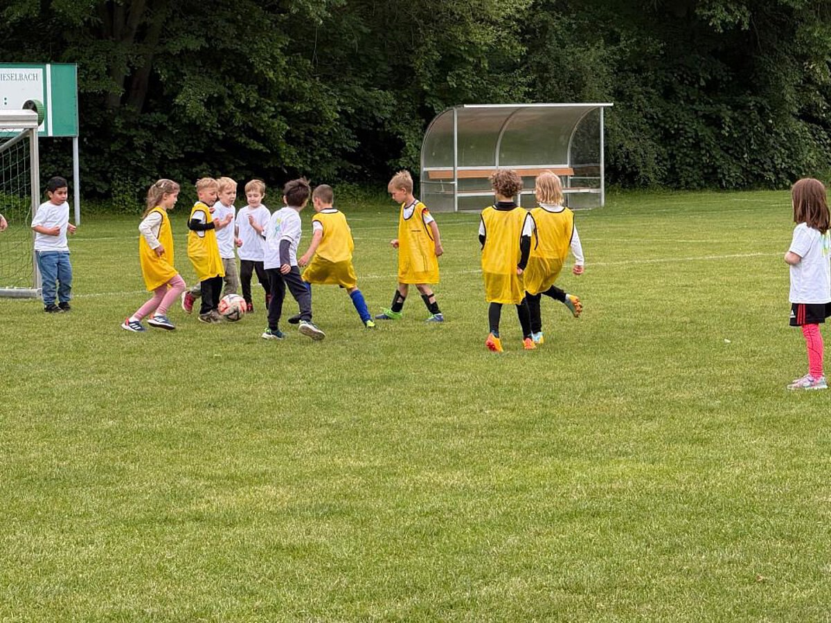 Kinder aus Kindertageseinrichtungen der TSA beim Fußballspiel auf dem Rasenplatz in Vieselbach