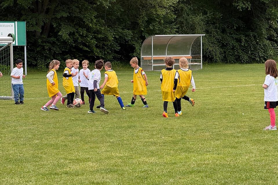 Kinder der Kitas in Erfurt in Aktion beim TSA Fußball Cup Kinder aus Kindertageseinrichtungen der TSA beim Fußballspiel auf dem Rasenplatz in Vieselbach