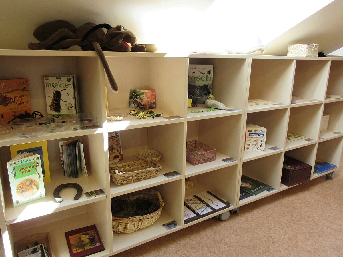 Forscher- und Entdeckerraum