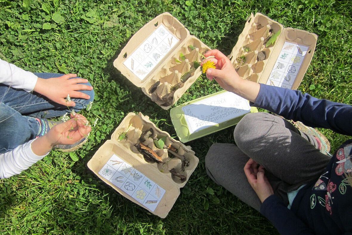 Fundstücke in der Natur Fundstücke in der Natur