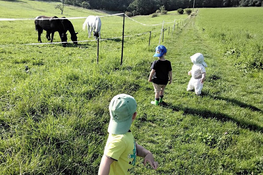 Kinder laufen über eine Wiese zu Pferden auf einer Koppel