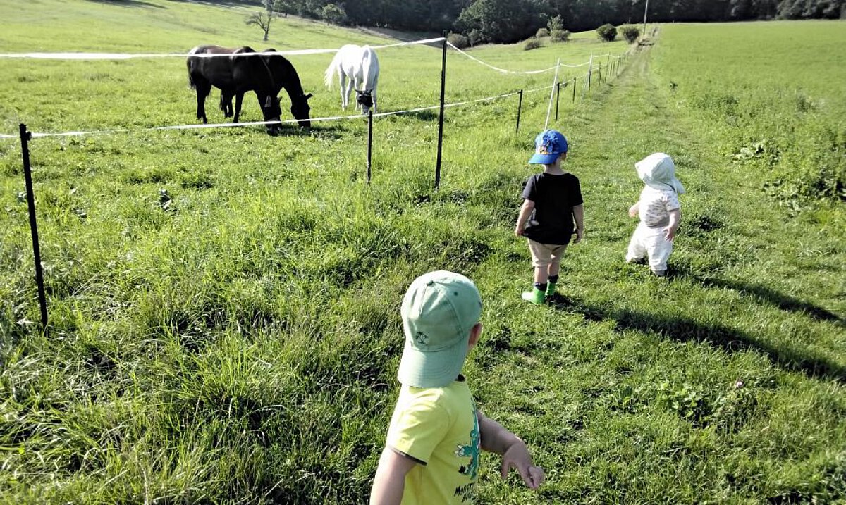 Kinder laufen über eine Wiese zu Pferden auf einer Koppel