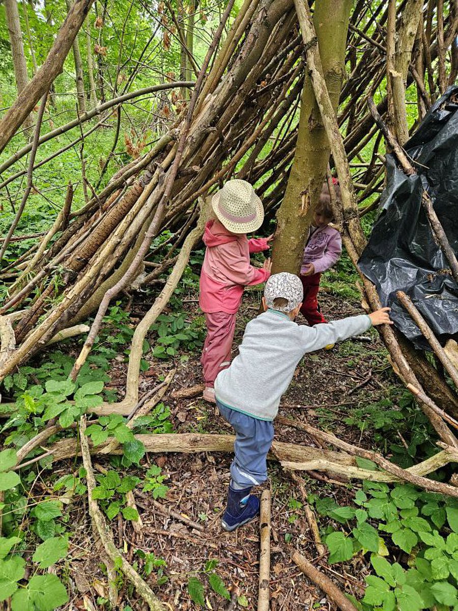 Kinder entdecken den Wald und bauen mit gesammelten Ästen ein kleines Naturversteck.