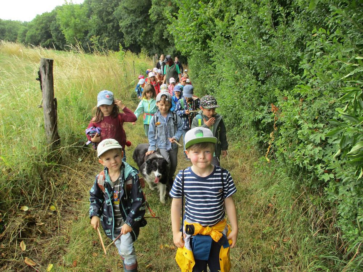Die Kinder sind auf dem Weg zum Ausflug und laufen durch den Wald
