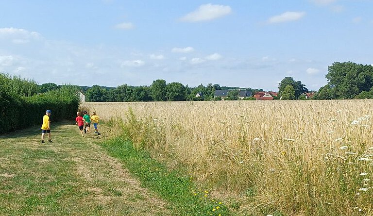 Kornfeld Kornfeld Ottendorf-Okrilla