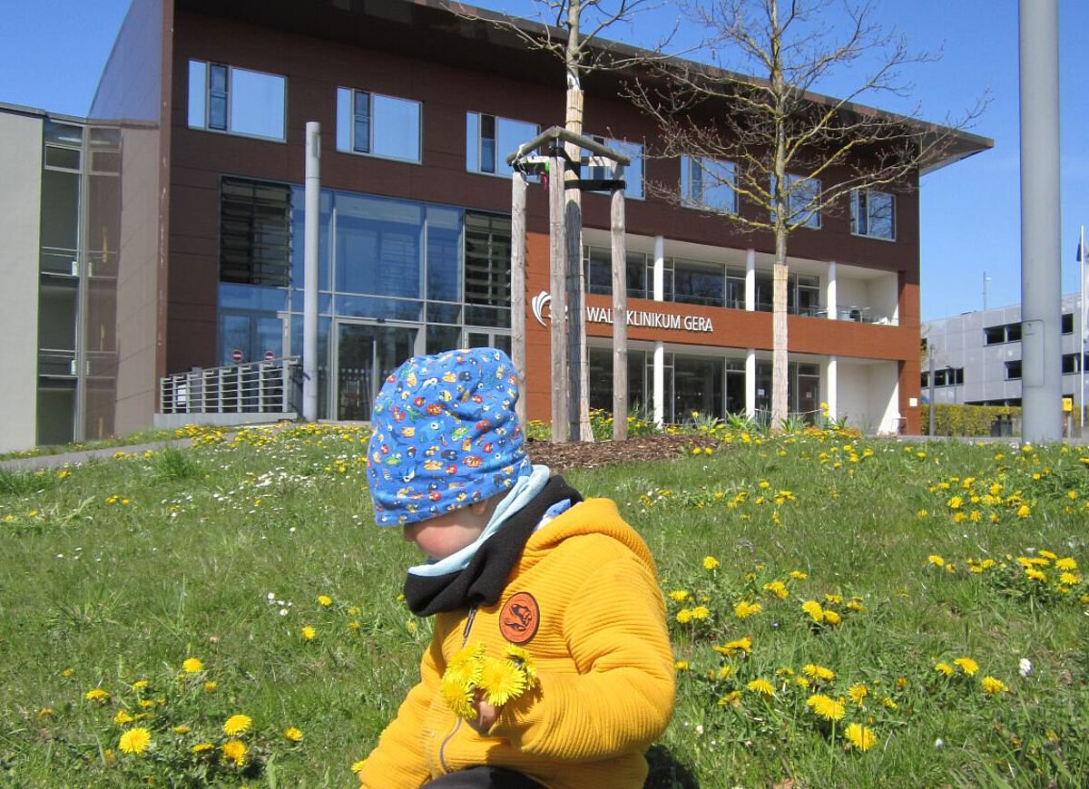 Kind, das auf einer Wiese sitzt. Die Wiese ist voller gelber Löwenzahn-Blumen. Das Kind trägt eine blaue Mütze mit bunten Mustern und eine gelbe Jacke. In der Hand hält das Kind einen Löwenzahn. Im Hintergrund steht das Klinikum mit der Aufschrift „Wald-Klinikum Gera“. Der Himmel ist blau und die Sonne scheint