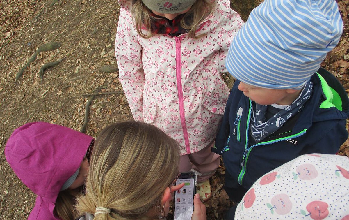 Mehrere Kinder stehen im Wald und schauen gemeinsam mit der pädagogischen Fachkraft auf eine Pflanzenbestimmungs-App auf einem Smartphone