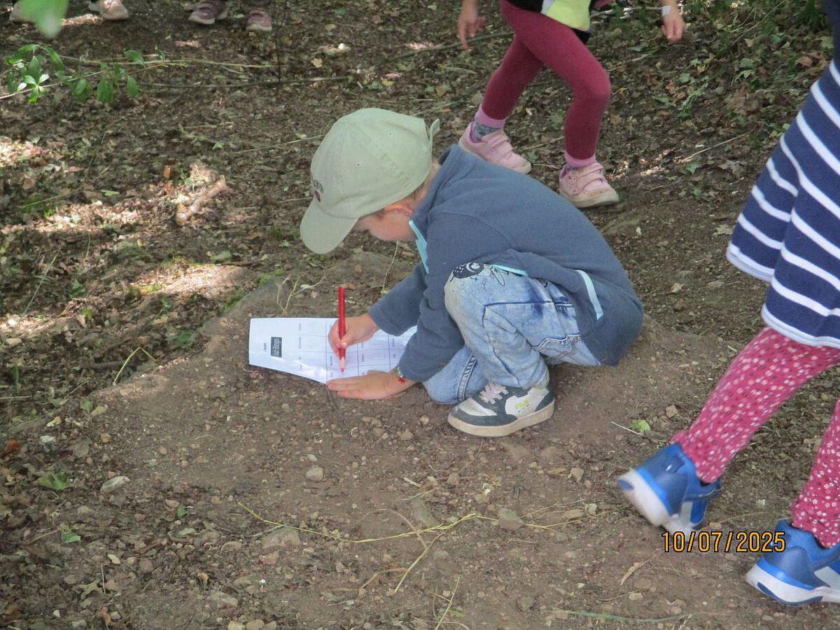 Lernort Wald Kindergarten Windischholzhausen Auf dem Bild ist ein Junge zu erkennen, der auf dem Waldboden auf ein Blatt Papier malt