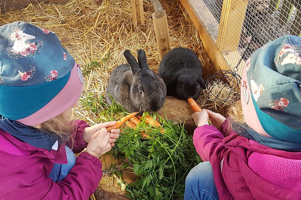 Kinder füttern schwarze Kaninchen mit Karotten im Außengehege