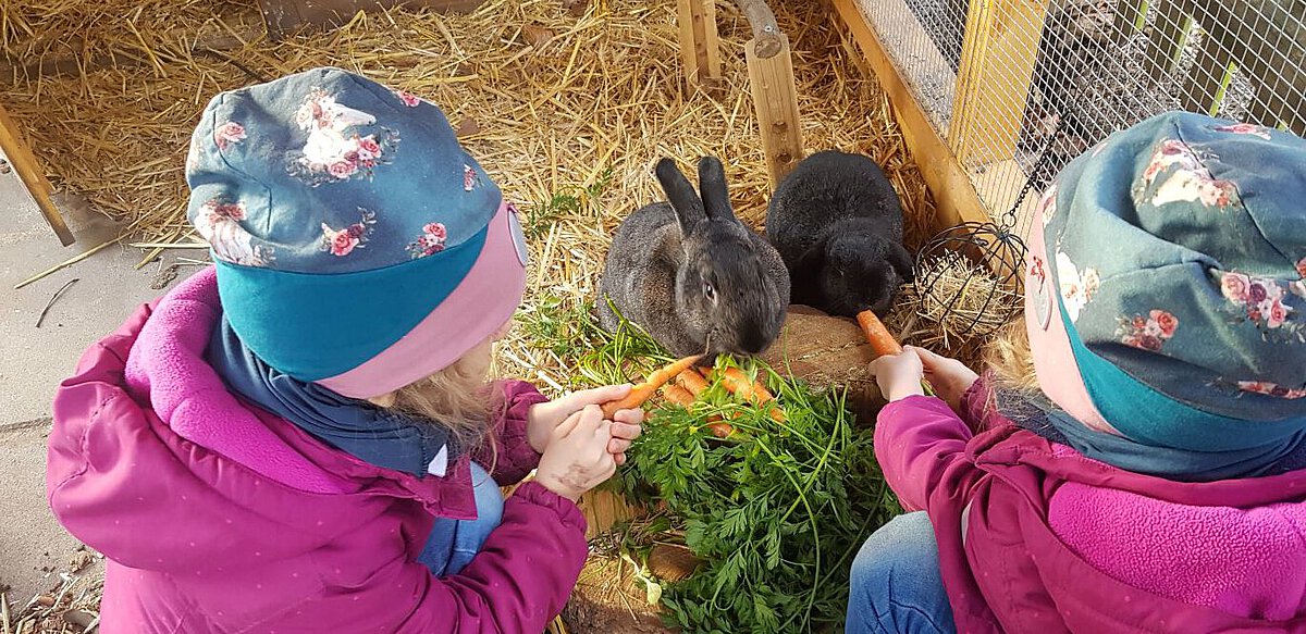 Kinder füttern schwarze Kaninchen mit Karotten im Außengehege