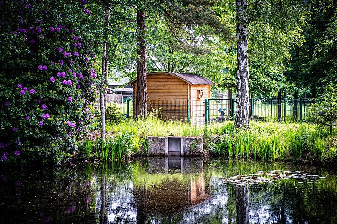 Holzhütte am Teichufer, umgeben von Bäumen