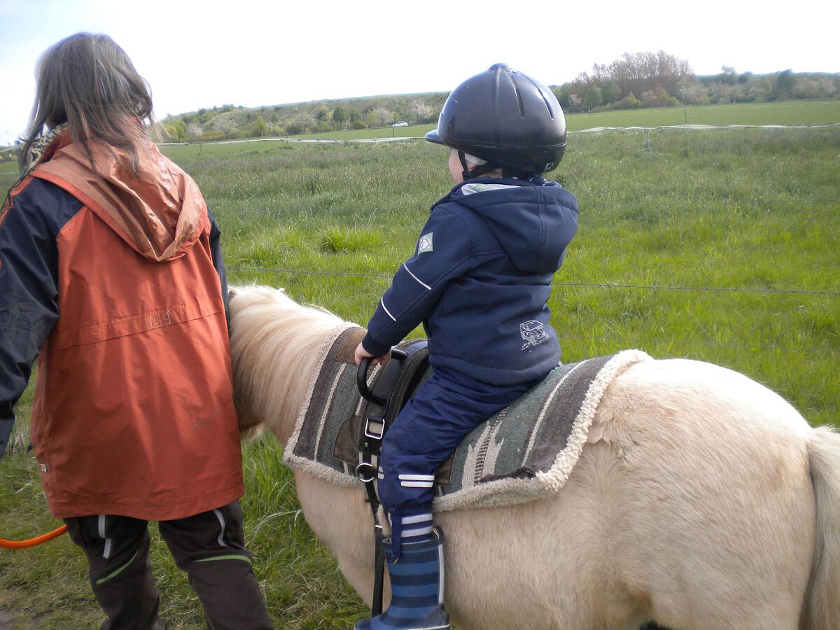 Kind sitzt auf einem Pony mit Reithelm, geführt von einer erwachsenen Person über eine Wiese.