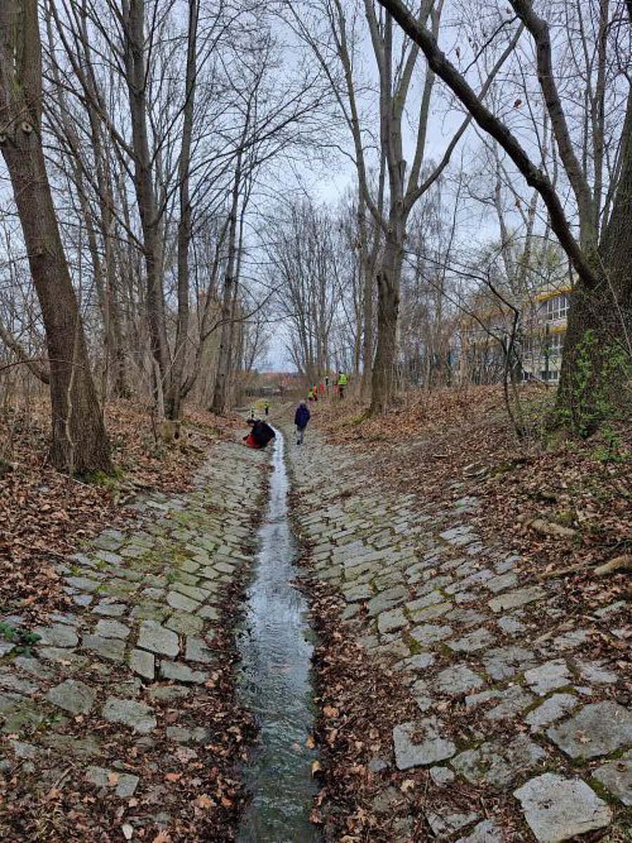 „Mehrere Personen in Warnwesten arbeiten in einem mit Kopfsteinpflaster ausgekleideten Bachlauf; im Vordergrund fließt ein schmaler Wasserlauf zwischen hohen, blattlosen Bäumen.“