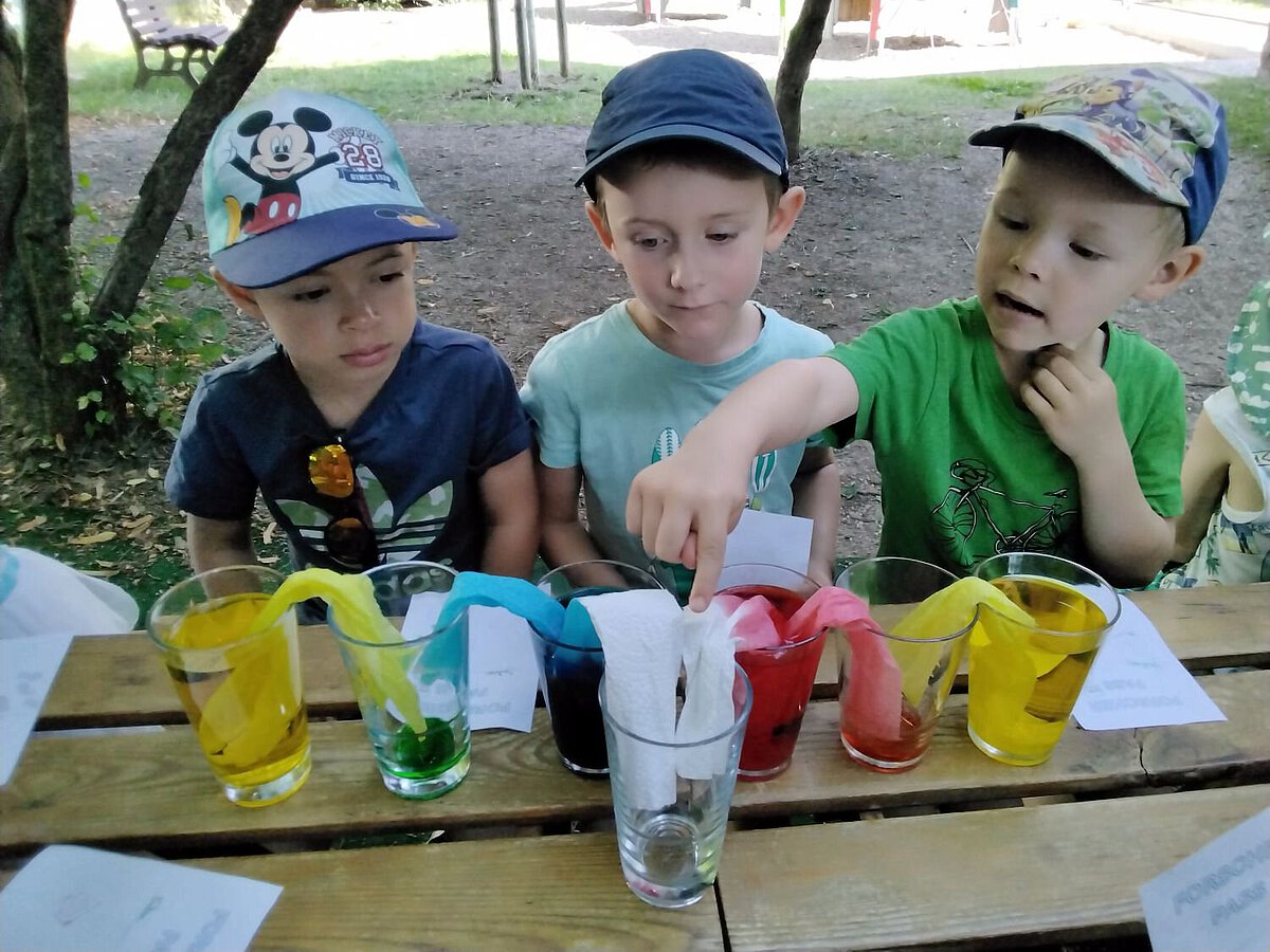 Die Kinder führen ein Experiment durch, bei dem farbiges Wasser in mehreren Gläsern über Papierstreifen verbunden ist, um die Farben zu mischen und Wasser zu übertragen