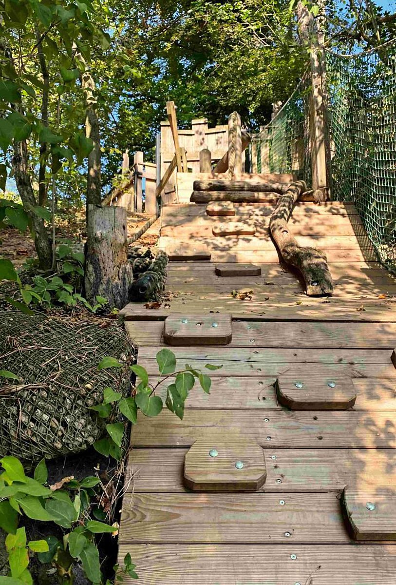 Holz-Kletterpfad im Naturschutzgebiet des Kindergarten Burgweg mit Stufen, Baumstämmen und Seilen, umgeben von grünem Laub und einem Sicherheitsnetz an der Seite. Der Weg führt nach oben zu einer Plattform im Schatten der Bäume des naturnahen großen Gartengeländes.