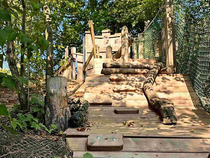 Abenteuer-Spielbereich im Naturschutzgebiet des Kindergarten Burgwegs – Holz-Kletterpfad im Garten Holz-Kletterpfad im Naturschutzgebiet des Kindergarten Burgweg mit Stufen, Baumstämmen und Seilen, umgeben von grünem Laub und einem Sicherheitsnetz an der Seite. Der Weg führt nach oben zu einer Plattform im Schatten der Bäume des naturnahen großen Gartengeländes.