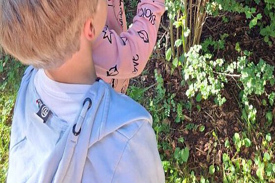 Blätter entdecken im Wald – Naturerfahrung im Kindergarten Windischholzhausen Kind hält frische grüne Blätter in der Hand auf Waldboden mit Laub
