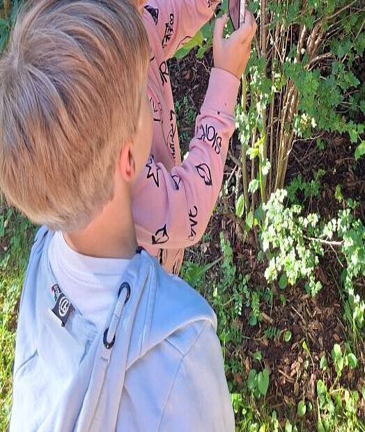 Blätter entdecken im Wald – Naturerfahrung im Kindergarten Windischholzhausen Kind hält frische grüne Blätter in der Hand auf Waldboden mit Laub
