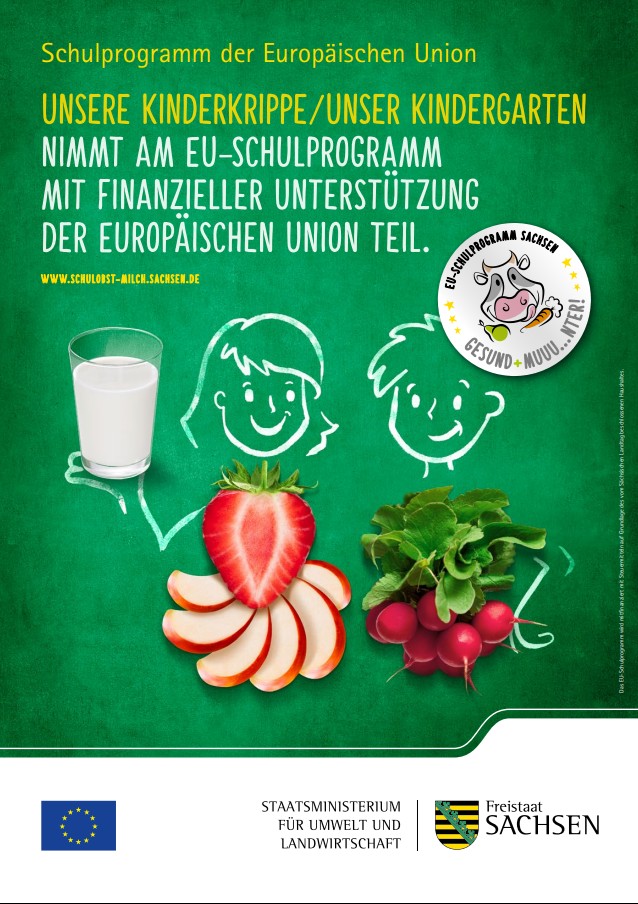 EU Schulprogramm Plakat Teilnahme EU Schulprogramm