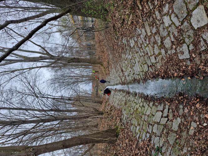 „Mehrere Personen in Warnwesten arbeiten in einem mit Kopfsteinpflaster ausgekleideten Bachlauf; im Vordergrund fließt ein schmaler Wasserlauf zwischen hohen, blattlosen Bäumen.“