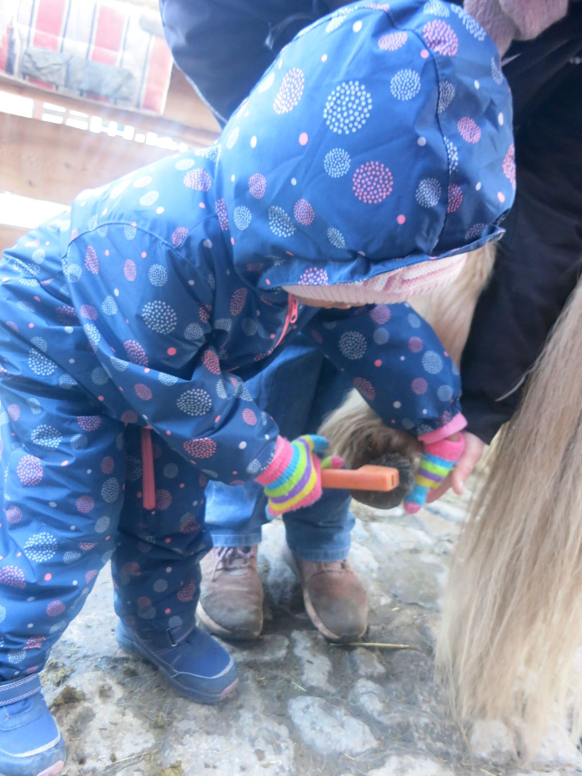 Kind bürstet das Fell eines Pferdes im Stall, begleitet von einer erwachsenen Person.