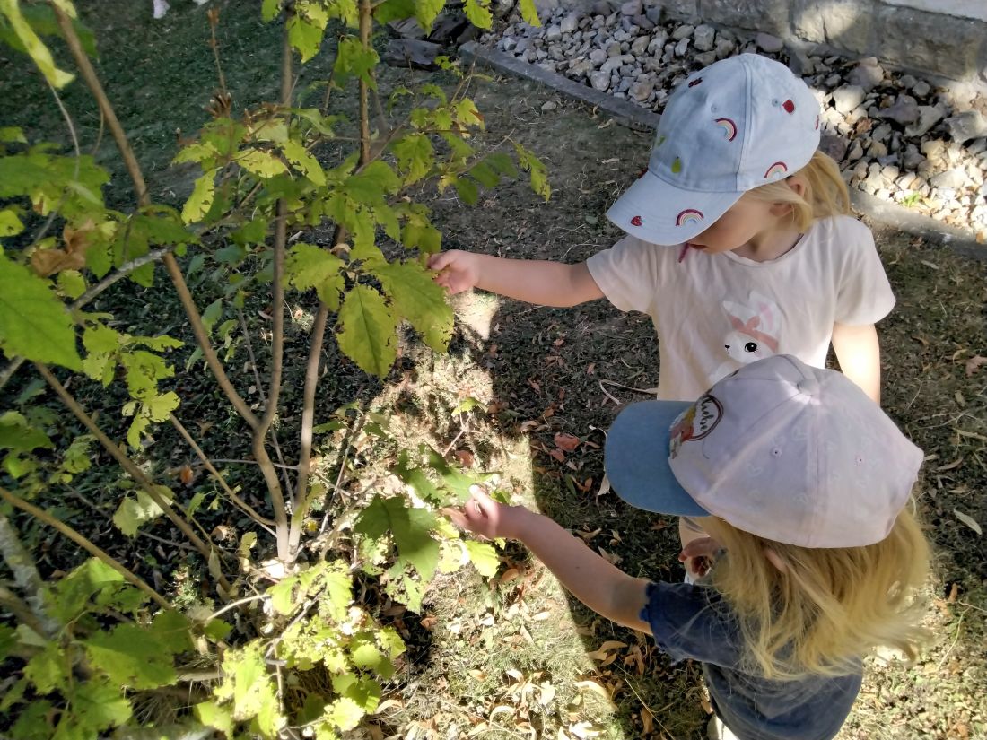 Natur ganz nah - Wald - Entdecken und Forschen Zwei Kinder betrachten die grünen Blätter an einem Busch