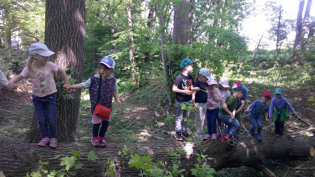 Die Kinder stehen zusammen im Wald auf einem umgefallenen Holzstamm