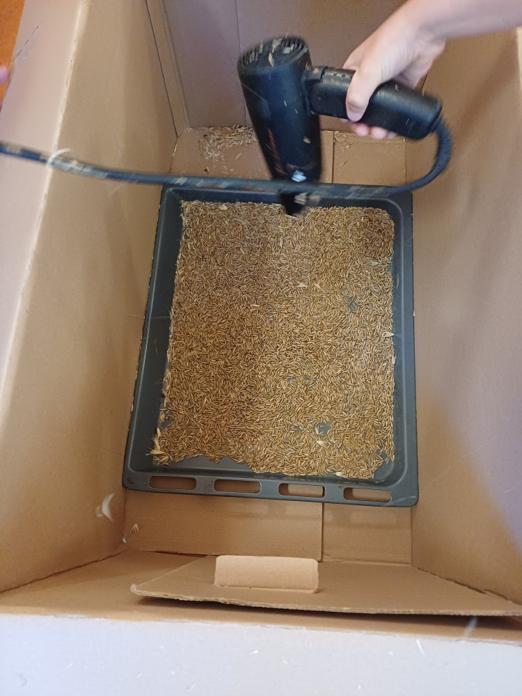 "Spreu vom Weizen" trennen mit Fön "Spreu vom Weizen" trennen mit Fön